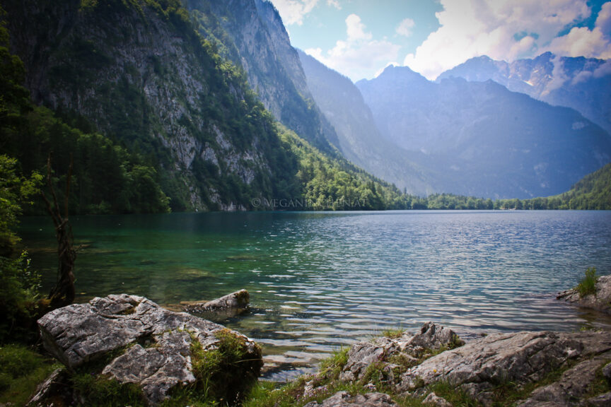 Obersee - Blick Richtung Watzmann