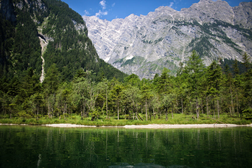 Königssee mit Birkenwald und Watzmann im Hintergrund