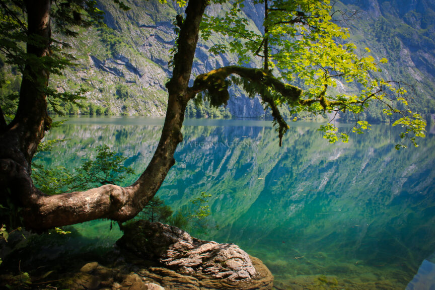 Spiegelungen im Obersee