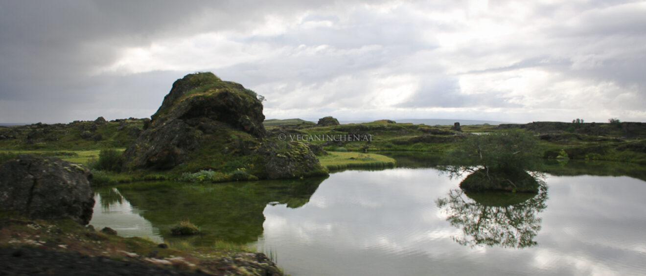 Mývatn Lake Island