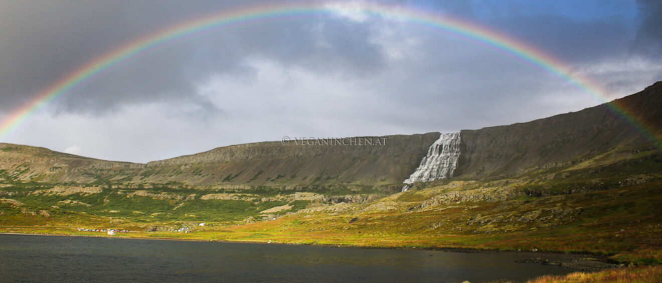 Regenbogen Dynjandi Westfjorde Island veganinchen